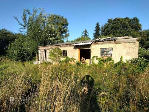 Alter Schuppen - 