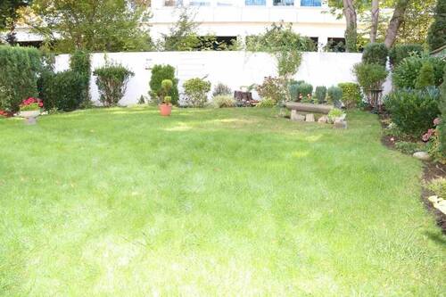 Gemeinschaftsgarten - 