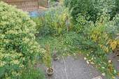 Garten - 