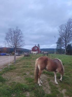 afde4cc6-02be-4fef-b013-d03a073d6c25.jpeg - 