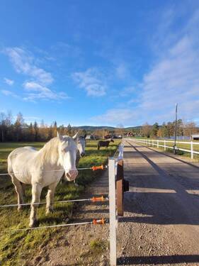 1235b077-8bf7-4fc1-bc63-f77678bc6bcf.jpeg - Einfamilienhaus mit 120,00 m&sup2; in Ekshärad zum Kaufen