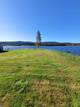 aa49dfc7-56f9-474b-8ee2-cdf10c728daa.jpeg - 