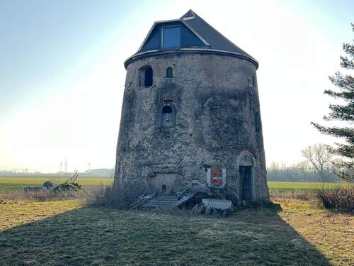 Bild 4 - Einfamilienhaus mit 140,00 m&sup2; in Großenhain zum Kaufen