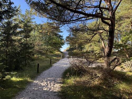 Weg zum Strand - 2 Zimmer Einfamilienhaus zum Kaufen in Dierhagen