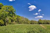 Wanderweg Erpetal - Grundstück in Hoppegarten zum Kaufen