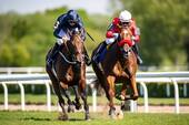 Rennbahn Hoppegarten - 