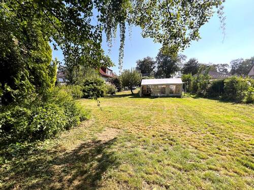 Blick in den Garten - 
