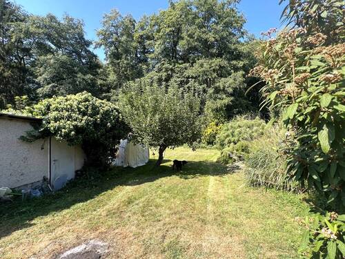 Blick in den Garten - 