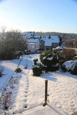Blick in den Garten - 
