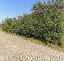 Erfüllen Sie sich Ihren Traum vom Neubau! Grundstück mit Feldrandlage in der Nähe des Kreidesees - Hemmoor Warstade