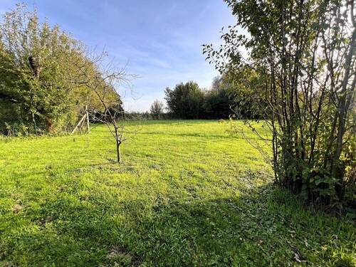 Blick in den Garten - 