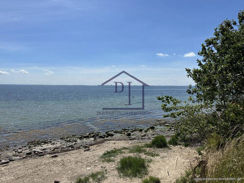 Steilküste Hundestrand - 