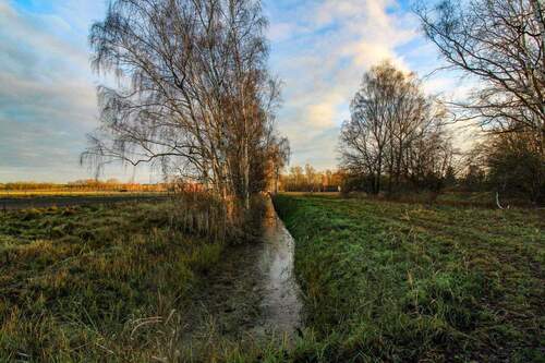 Feldweg und Bach hinter dem Grundstück - 