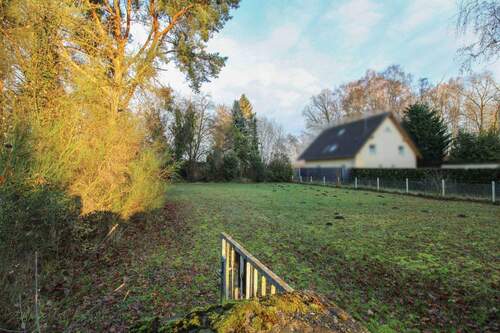 Blick vom Tor auf das Grundstück - 