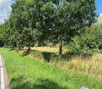 Grundstück - Grundstück in Könnern