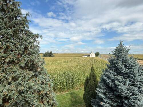 Bild 3 - 4 Zimmer Einfamilienhaus in Grimma