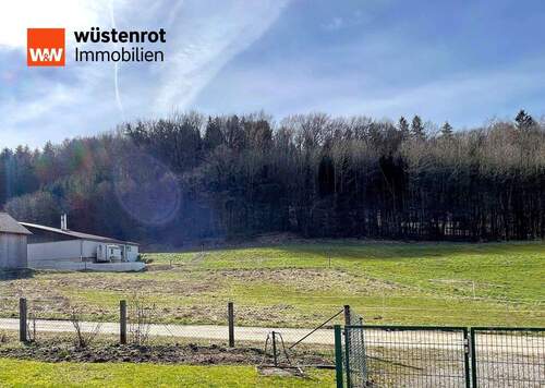 Bau- und Landwirtschaftsfläche - Grundstück in Offenhausen / Breitenbrunn zum Kaufen