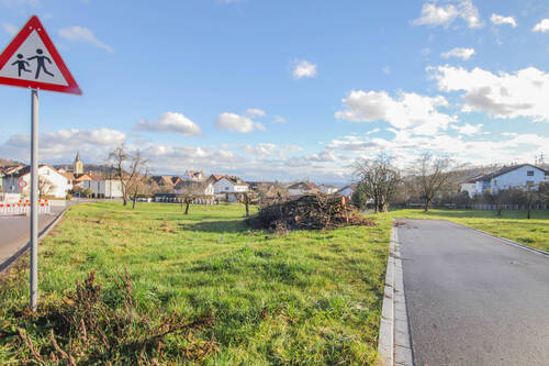 Grundstück - Grundstück zum Kaufen in Waldshut-Tiengen