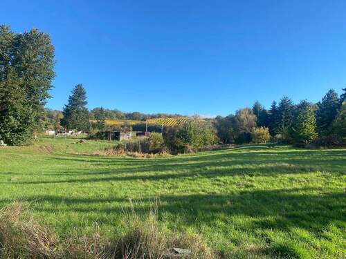 Bild 2 - Grundstück zum Kaufen in Niederau