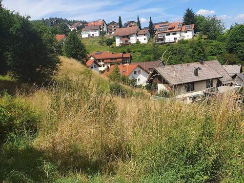 Grundstück - Grundstück in Bühlertal