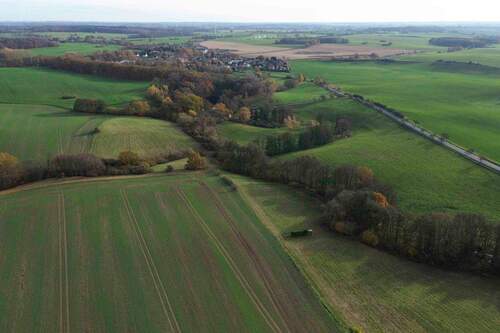 Ansicht hinteres Grundstück Wiesen - 