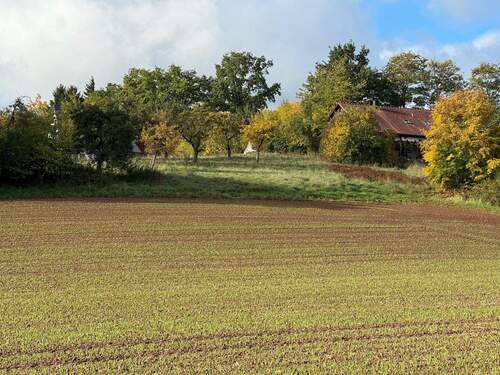 Bild 7 - 