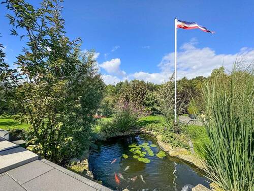 Gartenteich - 