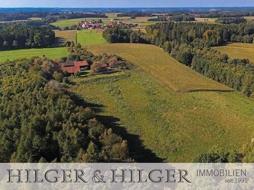 Weideland: ca. 23.500 von ca. 40.000 qm GRD - 