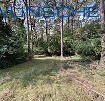 Attraktives Baugrundstück von ca. 3.400 m² im Landhausgebiet von Seevetal-Ramelsloh - Seevetal - Ramelsloh