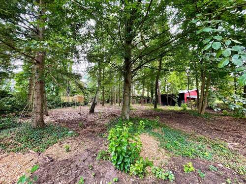 Familiendomizil in naturnaher Umgebung - Grundstück in Jesteburg / Osterberg zum Kaufen