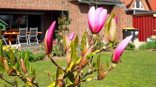 Bild 1 - ***Modernes Einfamilienhaus mit vielen Extras in exklusiver Lage***