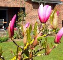 ***Modernes Einfamilienhaus mit vielen Extras in exklusiver Lage*** - Parchim