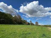 Freifläche - 