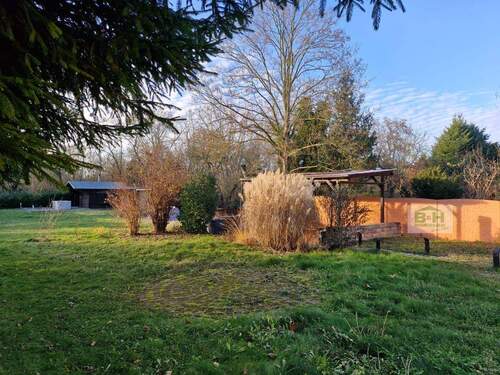 IMG-20251204-WA0009.jpg - 