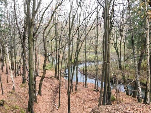 Wesenitz-Romantik (2) - 