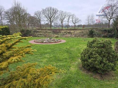 pflegeleichter Rasen - 