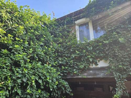 Hausansicht Garten - 