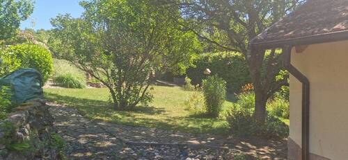 20250624_114520_resized.jpg - 