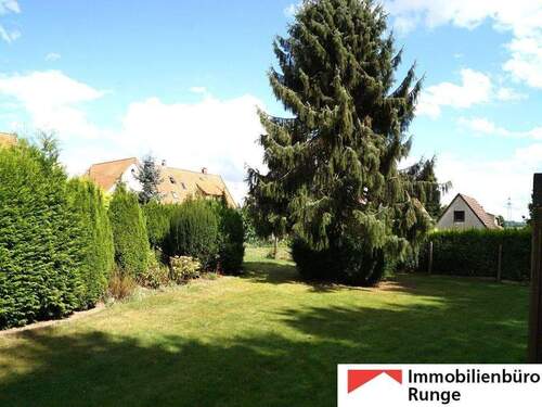 Alter Baumbestand.jpg - 6 Zimmer Mehrfamilienhaus, Wohnhaus in Bad Münder am Deister