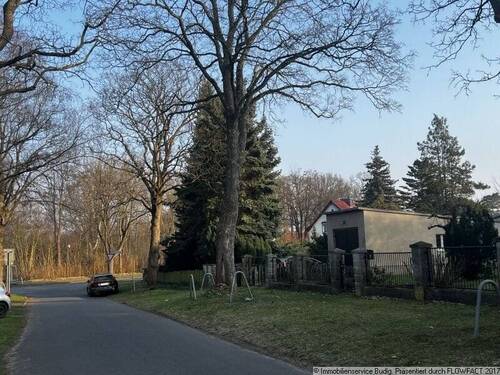 Blick von der Straße zum Grundstück - 