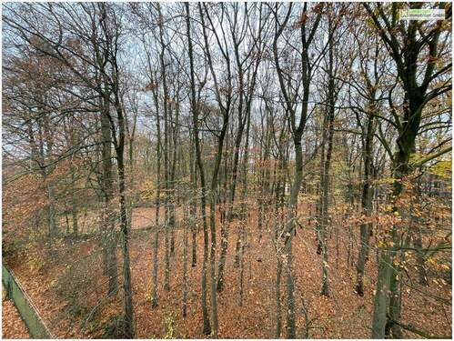 Blick von der Loggia - 