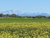 Bergblick vom Ortsrand - 