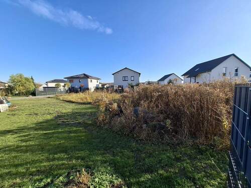 IMG-20251119-WA0006 - 