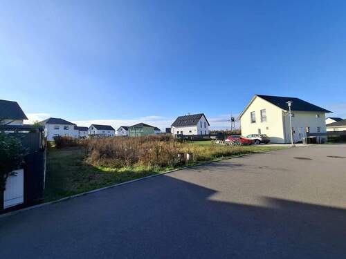 IMG-20251119-WA0012 - 