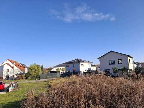 IMG-20251119-WA0002 - 