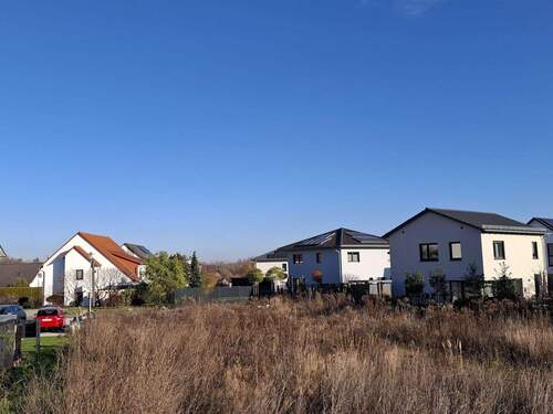 IMG-20251119-WA0004 - 