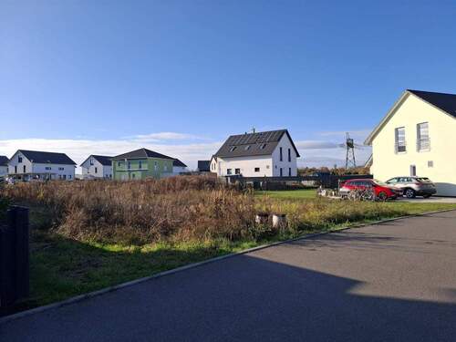 IMG-20251119-WA0005 - 