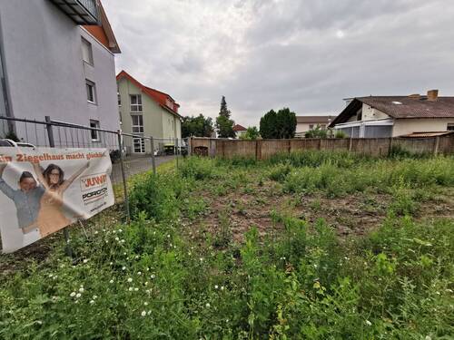 Grundstücksansicht - 3 Zimmer Einfamilienhaus zum Kaufen in Biebesheim am Rhein