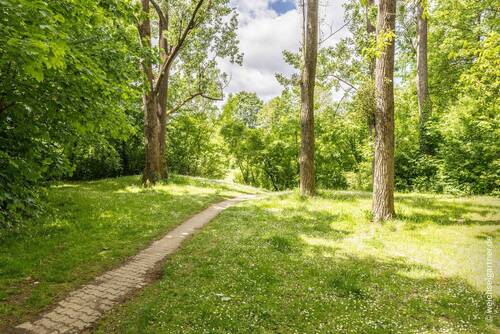 Direkter Zuweg zum Park - 