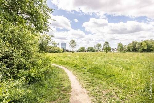 Park - 